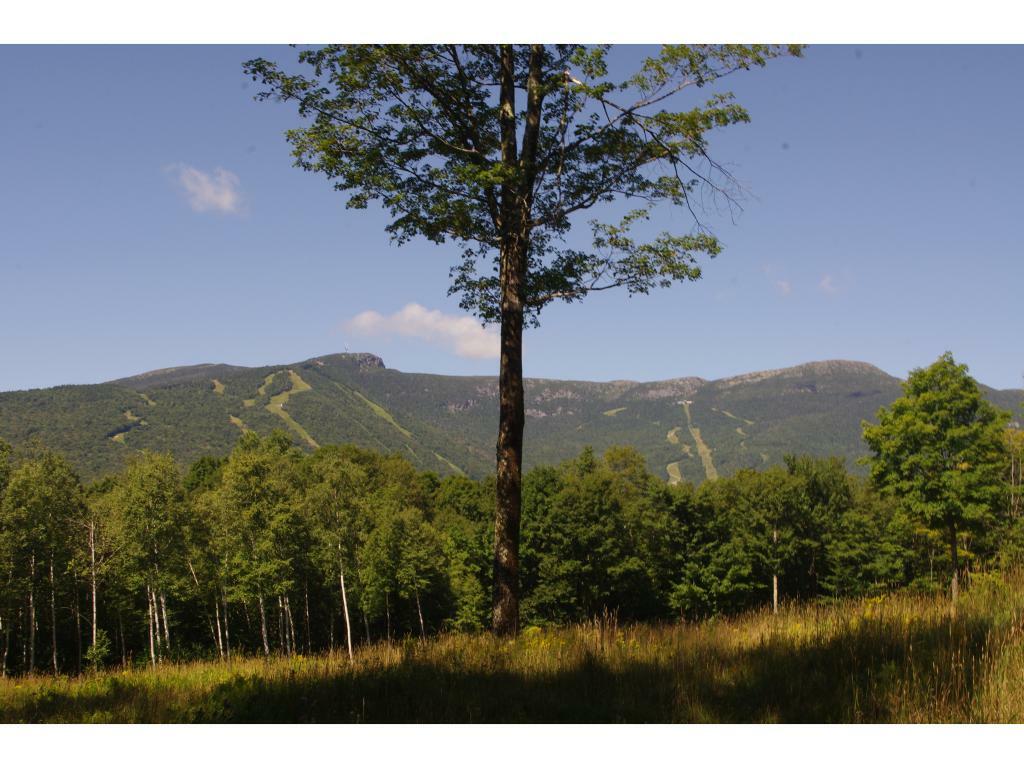 Property Photo: 0 Robinson Springs Road VT 05672