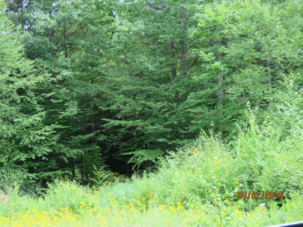 Property Photo: R14 L11-A2 Lockes Hill Road NH 03234