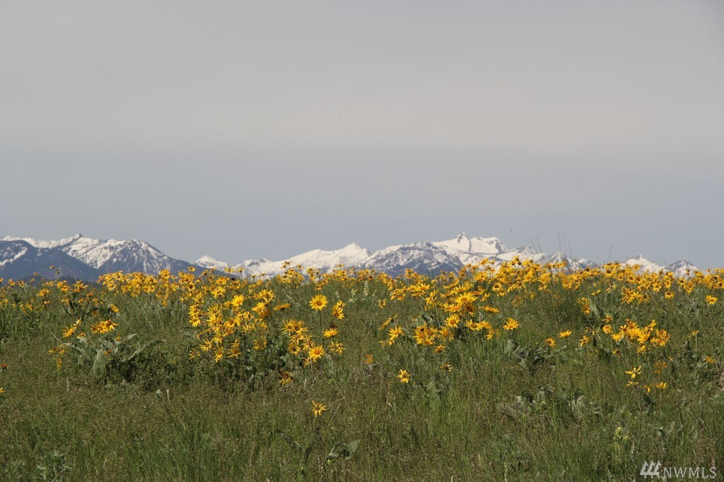 Property Photo: 134 Cap Wright Rd WA 98856