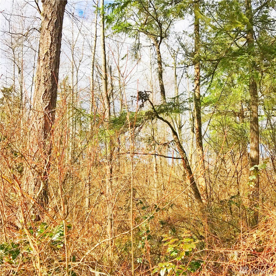 Property Photo: 22712 63rd Ave E WA 98387