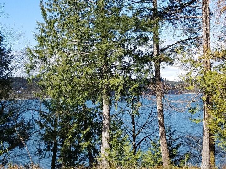 Property Photo:  5412 78th Ave NW  WA 98502 