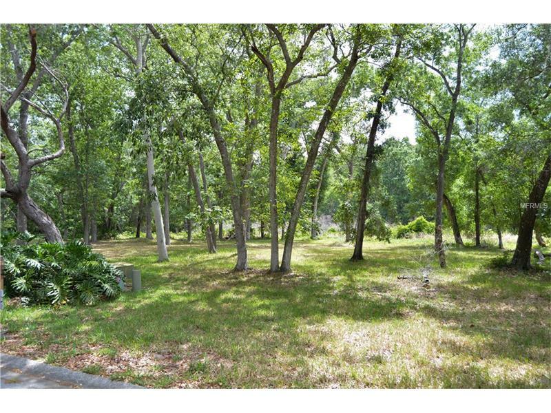 Property Photo:  0 Hammock Circle  FL 34688 