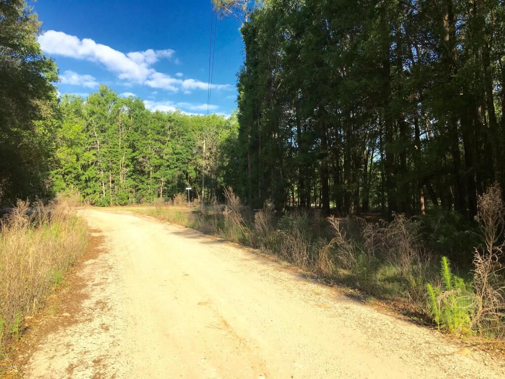 Property Photo: 116 Motes Drive FL 32640