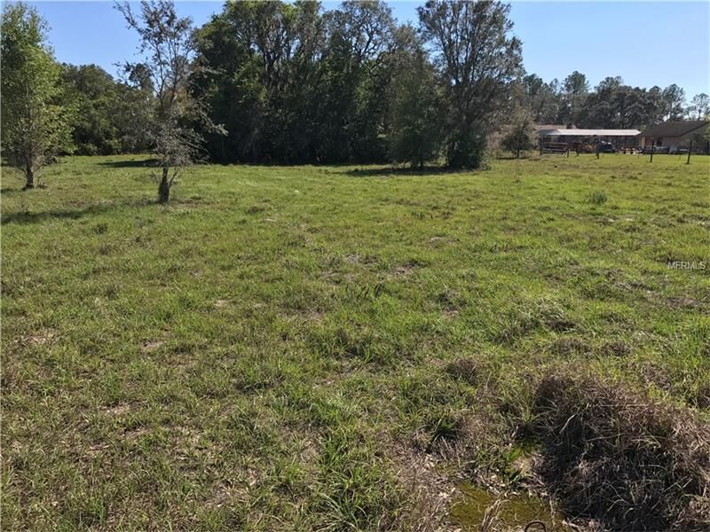 Property Photo: 13050 Tarpon Springs Road FL 33556