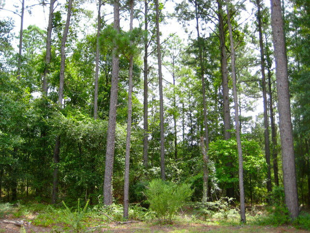 Property Photo:  320 Merrifield Court  SC 29803 