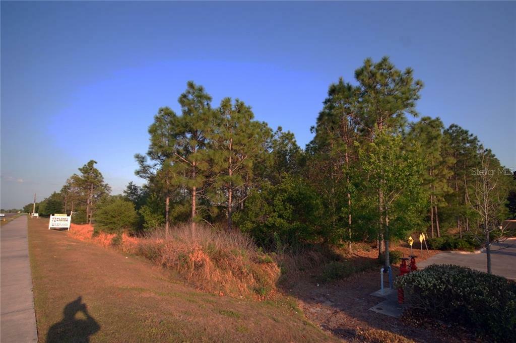 30150 Overpass Road  Wesley Chapel FL 33545 photo