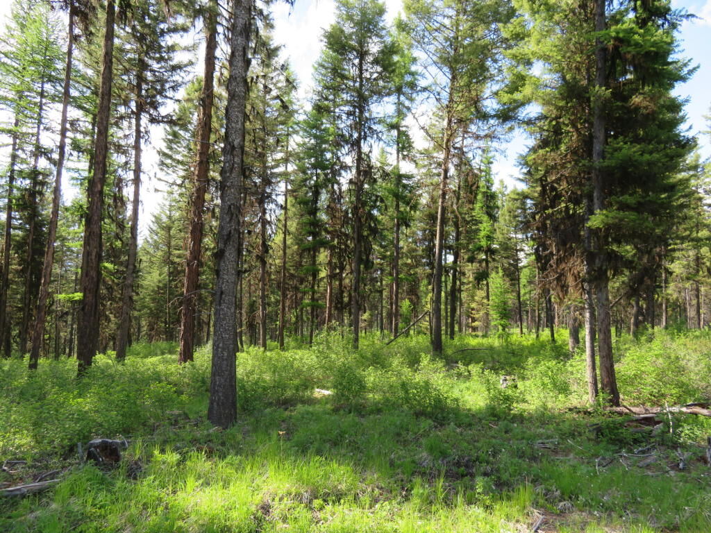 Property Photo:  Tbd Bacon Creek Rd  WA 99166 