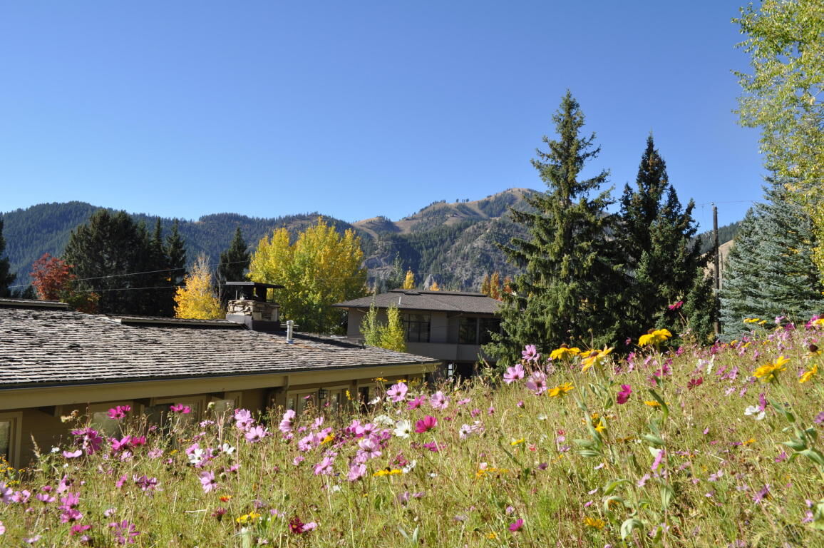 Property Photo:  580 N Spruce Ave  ID 83340 