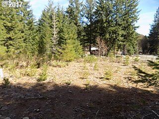 Property Photo: 111 Heslen Rd WA 98610