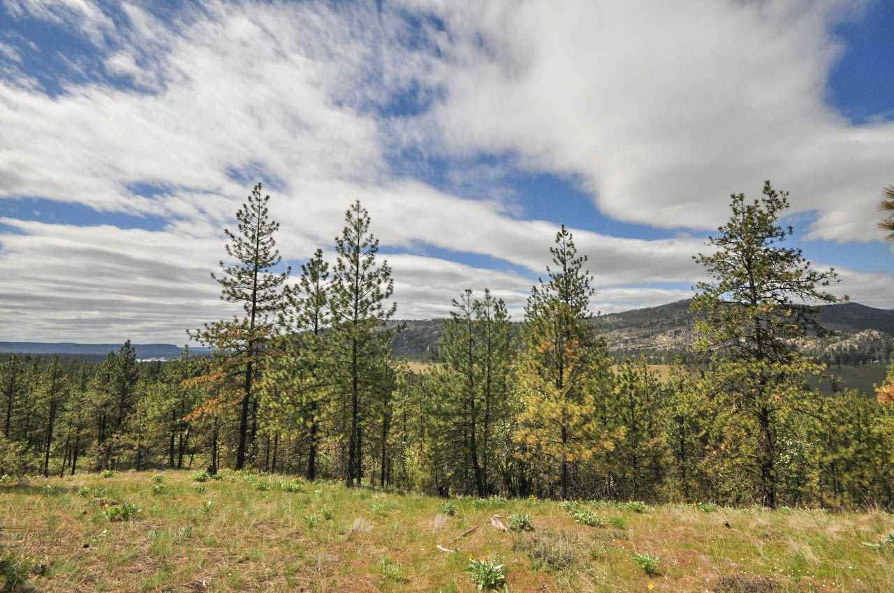Property Photo: Xxxx W South Bank Rd WA 99026