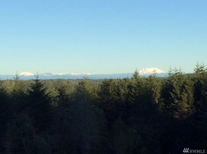 Property Photo: 972 Brown Rd WA 98532
