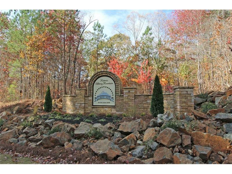 Property Photo:  Lot 3 Elsberry Ridge Drive  GA 30132 