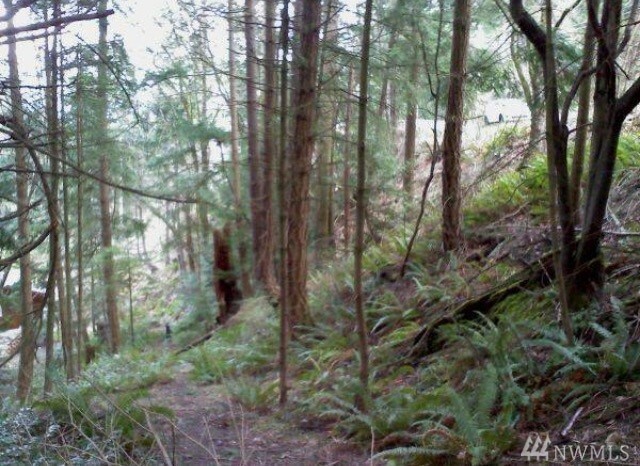 Property Photo:  2998 3006/3010/3002 Hales Passage Dr  WA 98262 