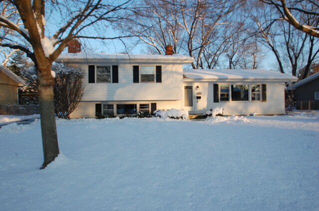 1116 Emerald Drive  Naperville IL 60540 photo