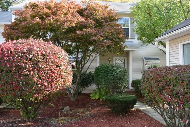 Property Photo:  3409 Whitney Avenue 11  CT 06518 