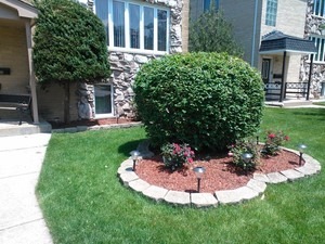 Property Photo:  8236 W Lawrence Avenue 2  IL 60706 
