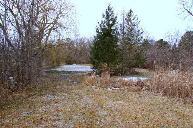 Property Photo:  21704 North Pine Grove Court  IL 60047 