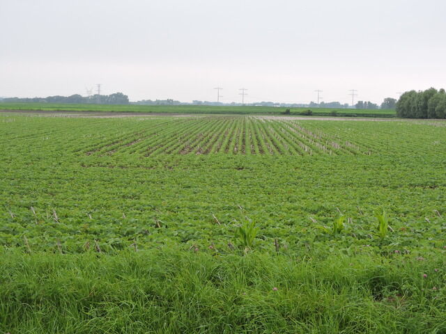 Property Photo: W Pauling Road IL 60442