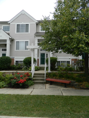 Property Photo:  1043 Savoy Court  IL 60007 