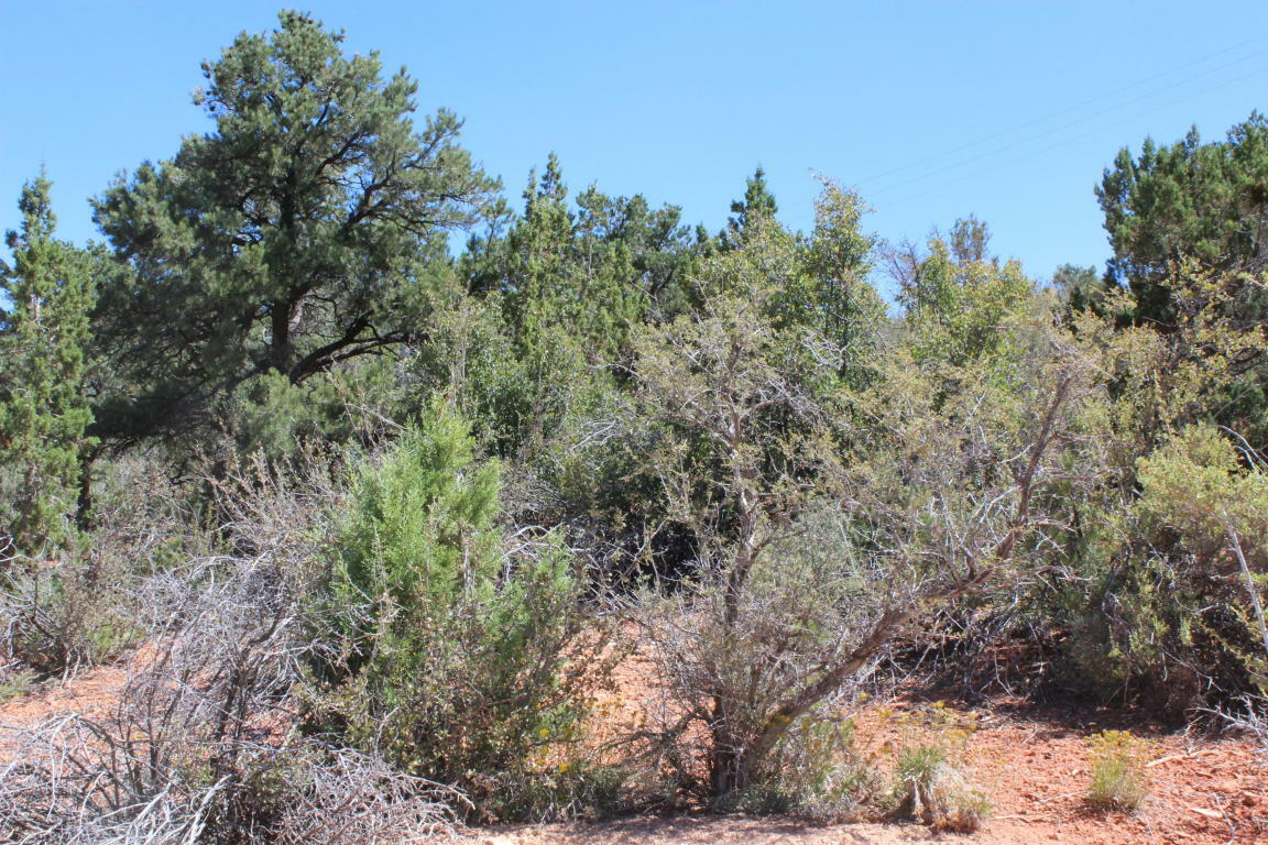 Property Photo:  Red Hill Rd 12  UT 84722 