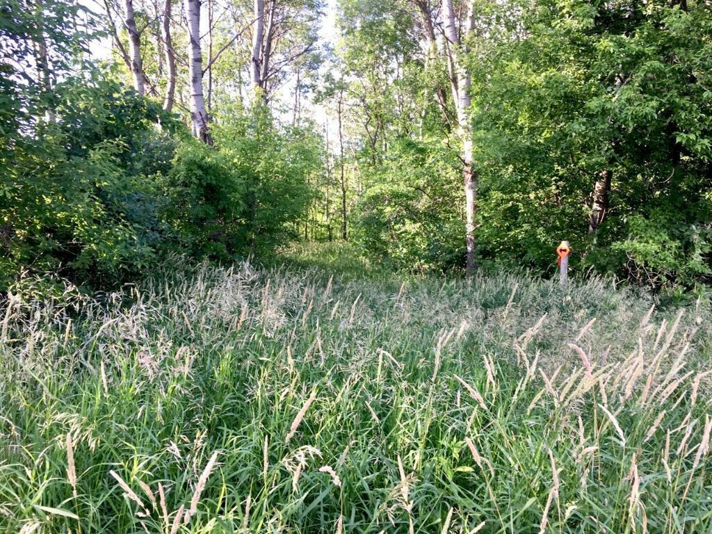 Property Photo:  Xxxx S Lake Jessie Road SE  MN 56308 