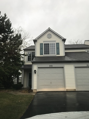 Property Photo: 713 Blossom Court IL 60540