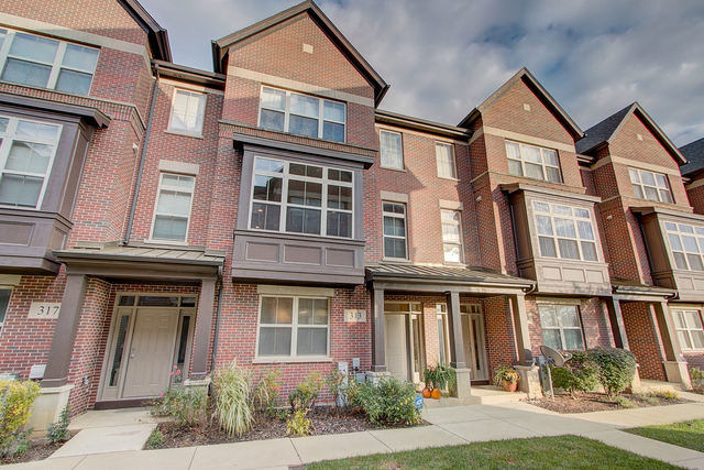 Property Photo:  313 Alpine Springs Drive  IL 60061 