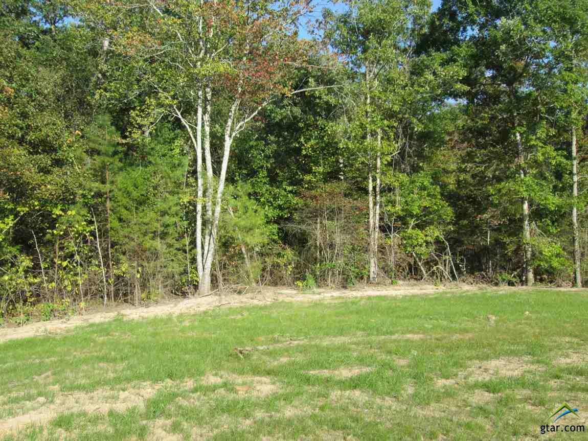 Lot 34 Little Hickory Dr  Gladewater TX 75647 photo