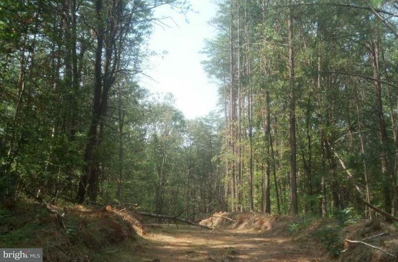 Property Photo:  Lot 56-46C Kaycolo Lane  VA 22405 