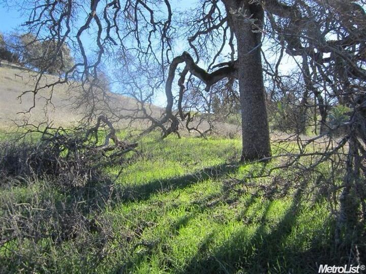 10 Acres Cherry Acres Circle  Cool CA 95614 photo