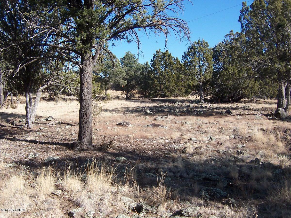 Property Photo:  6846 N Santa Fe Road  AZ 86046 