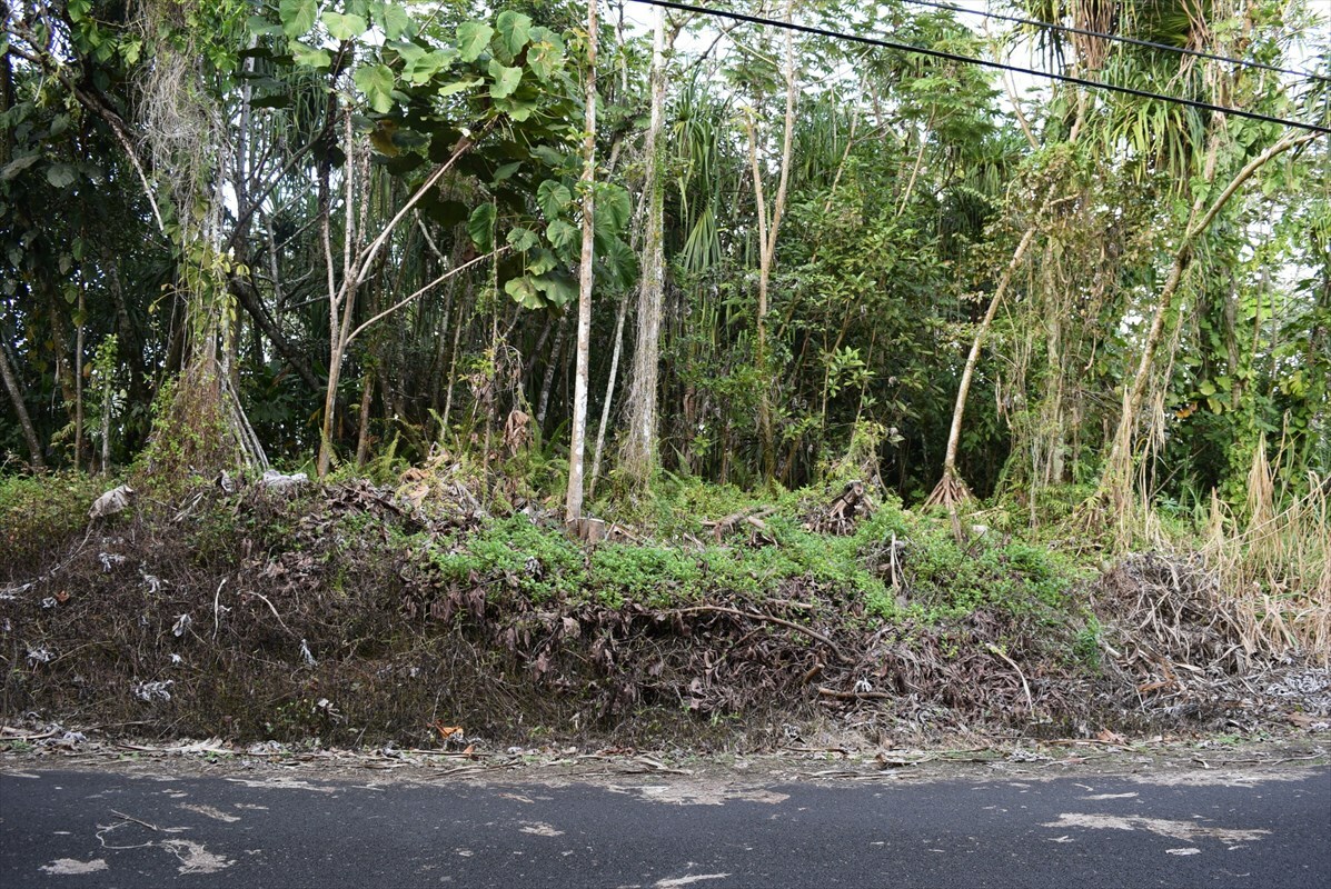 Property Photo:  Puni Lani Lp  HI 96778 