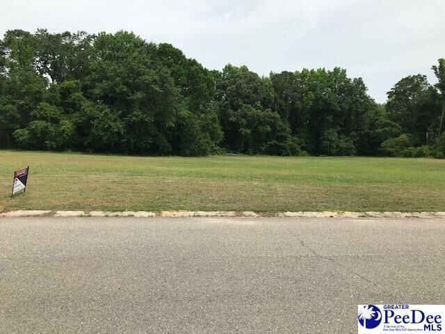 Property Photo:  Lot 2 Rivergate Drive  SC 29501 