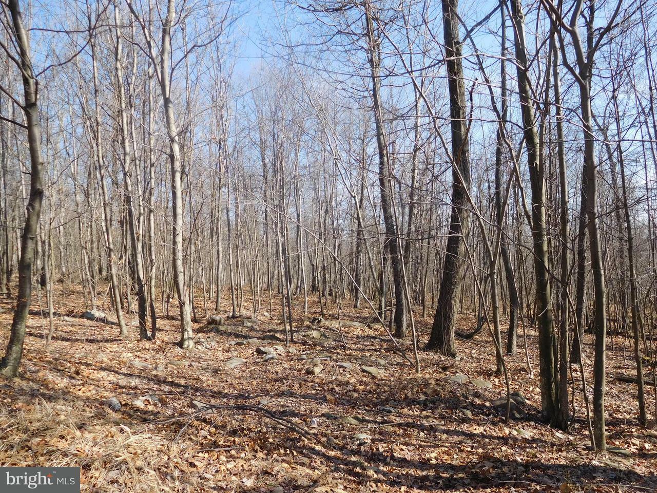 Property Photo:  Lot D Chestnut Drive  WV 26704 