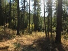 Property Photo: Xxx Flyckt Rd WA 99109