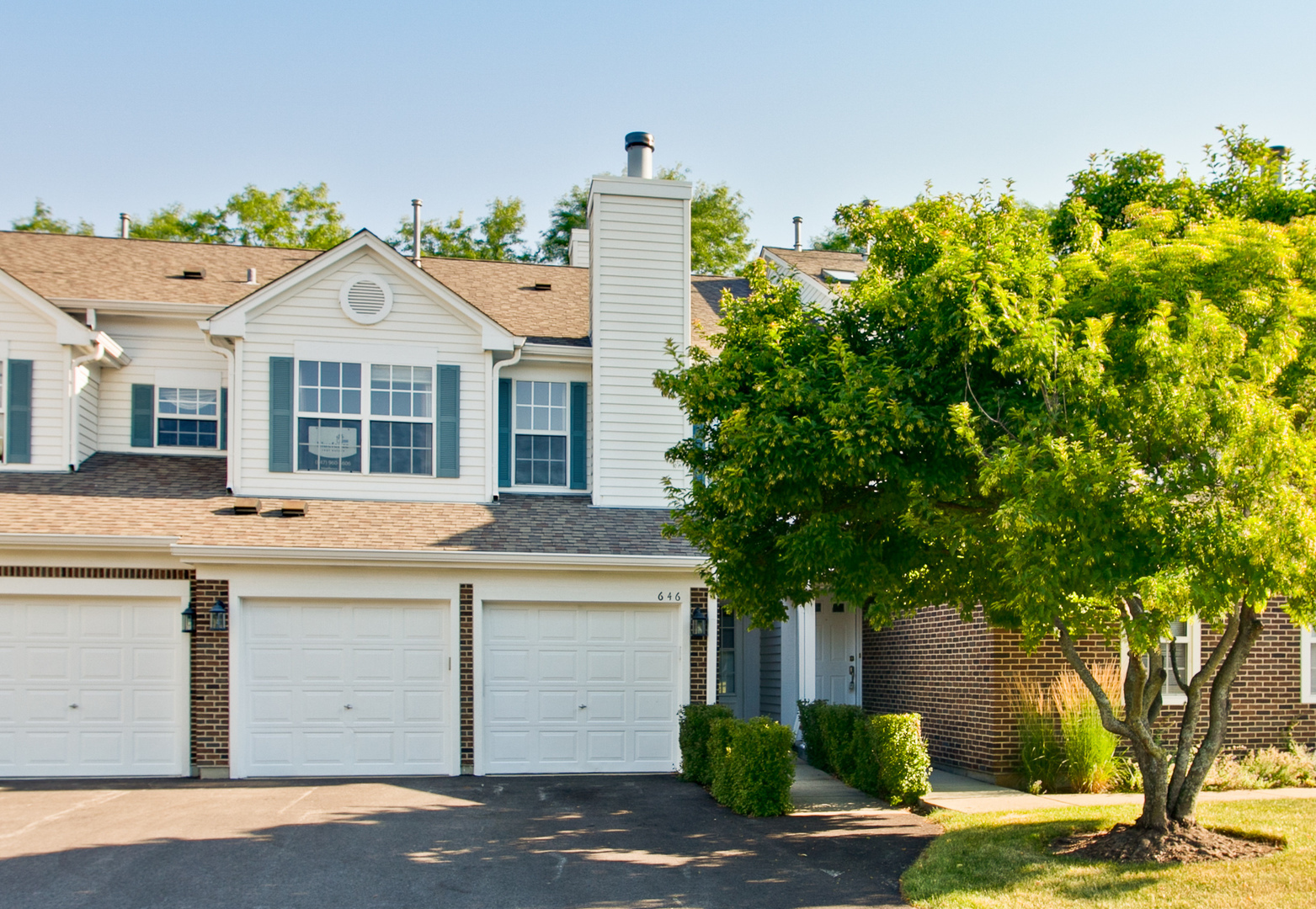 Property Photo:  646 Portage Court  IL 60061 