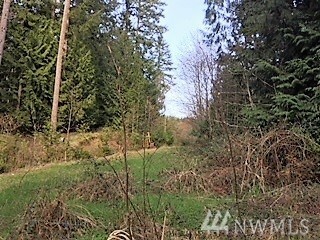 Property Photo:  21642 Zenkner Valley Rd  WA 98531 