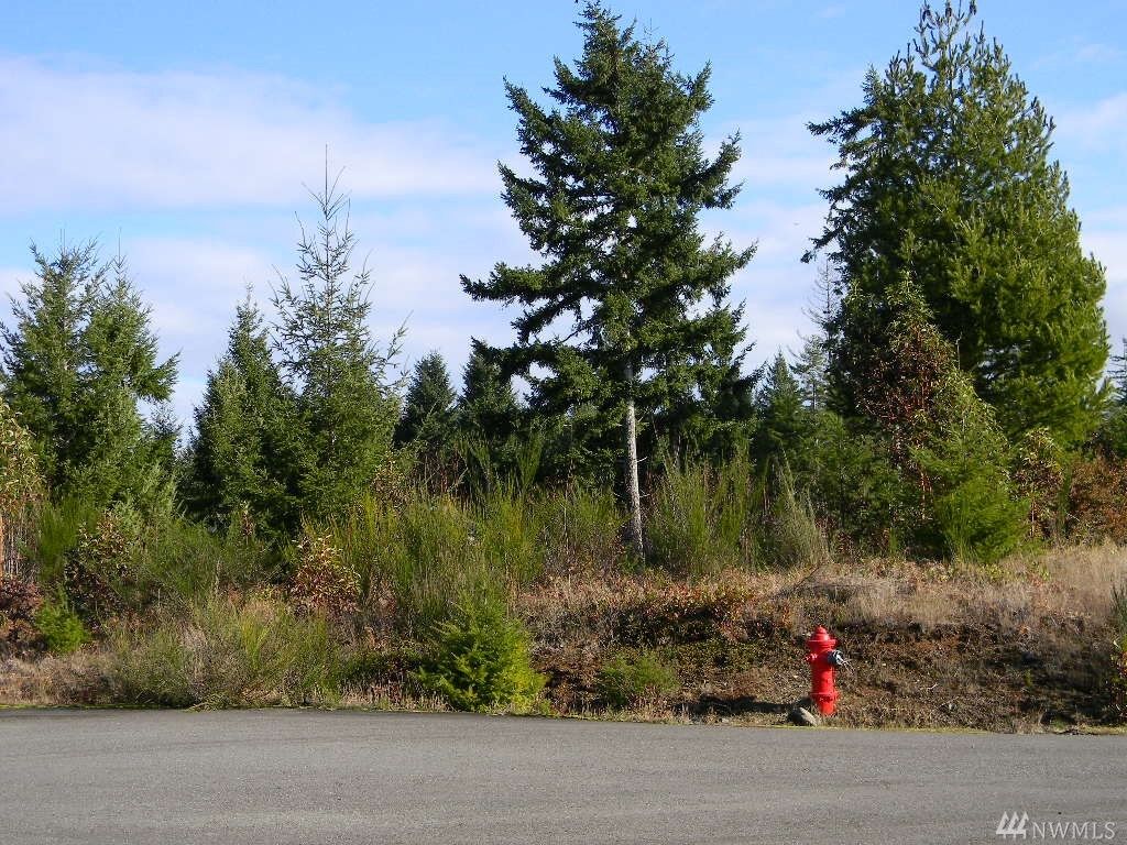Property Photo:  15  Air Castle Lane  WA 98528 