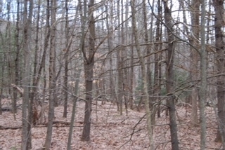 Property Photo: Strafford Road NH 03825