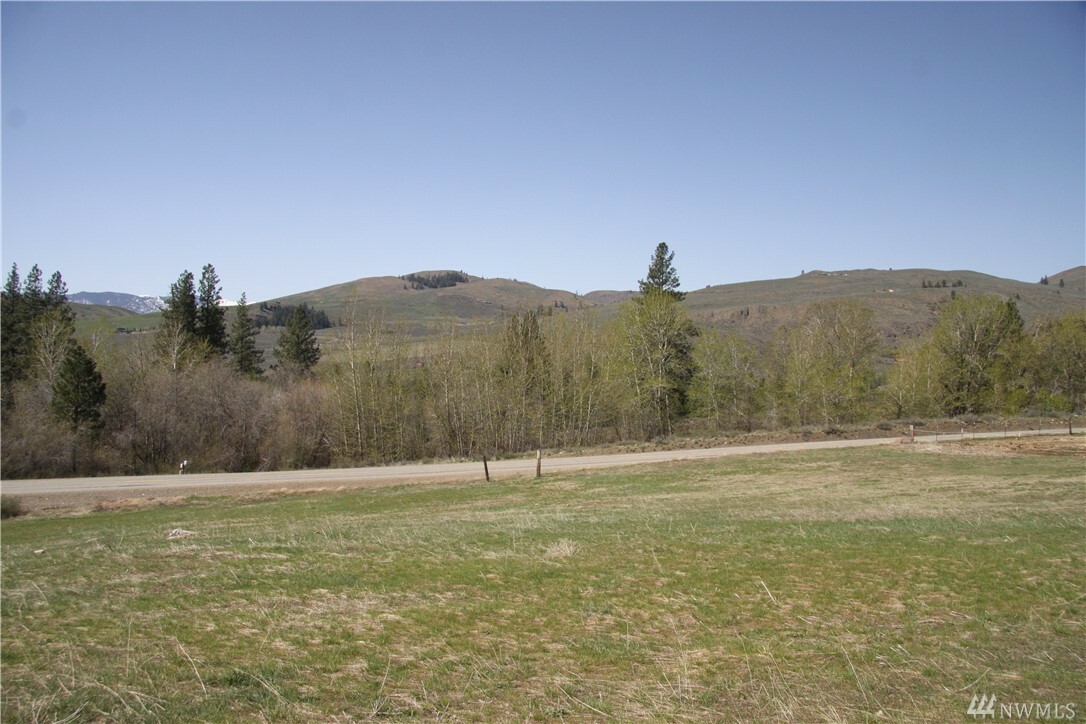 Property Photo:  362 Eastside Chewuch Rd  WA 98862 