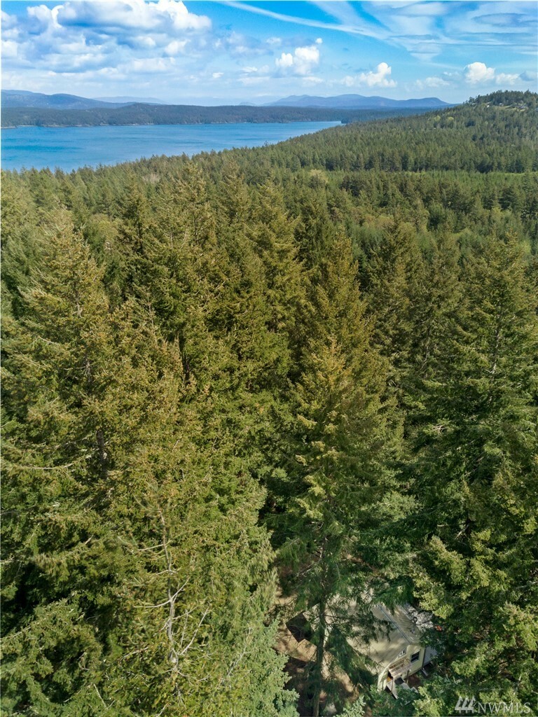 Property Photo:  275 Ridgedale Rd  WA 98250 