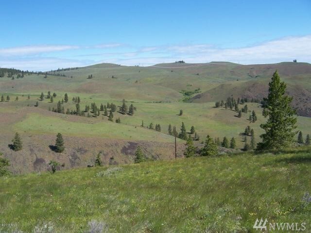 Property Photo: 111 Kingsbury Rd WA 98828