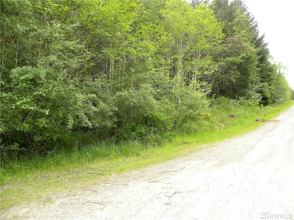 Property Photo:  Lot 29 Joyce Lane  WA 98528 