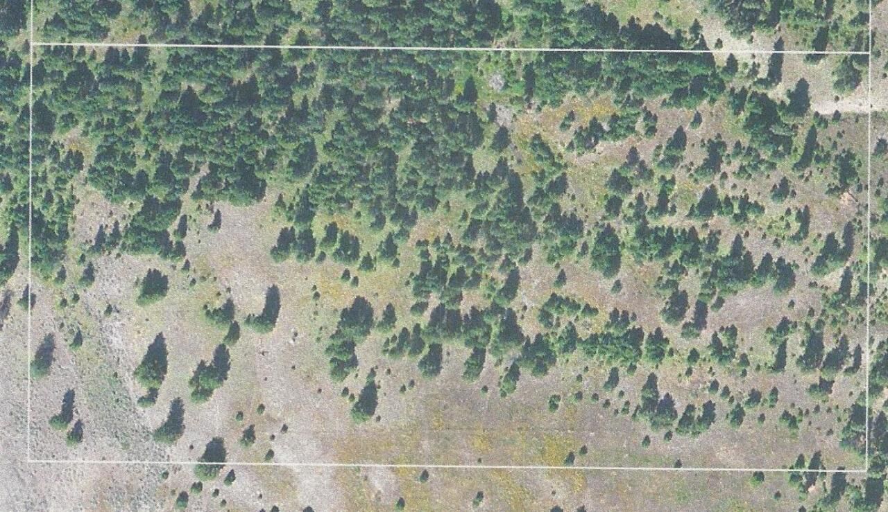 Property Photo:  Tbd Fish Hatchery Rd  WA 99166 