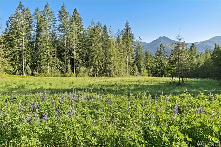 8064 Ronald Ave  Concrete WA 98237 photo