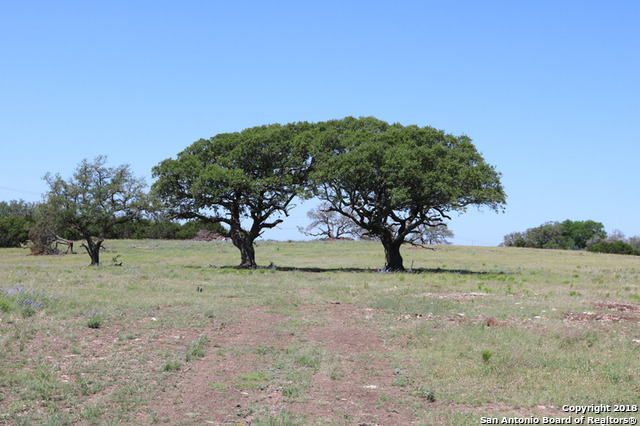 Na Duderstadt  Harper TX 78631 photo