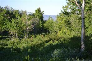 Property Photo:  926 W Deep Forest  UT 84017 