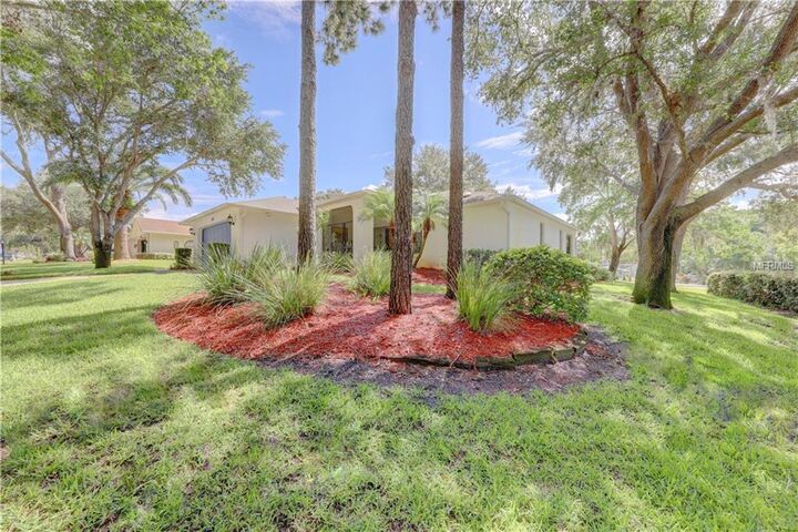 Property Photo:  3597 Oak Lake Drive  FL 34684 