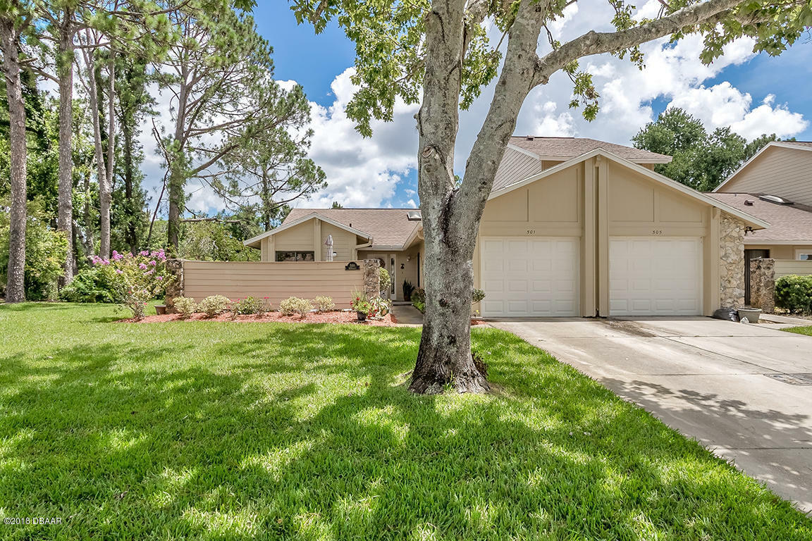 Property Photo:  501 Brown Pelican Drive  FL 32119 