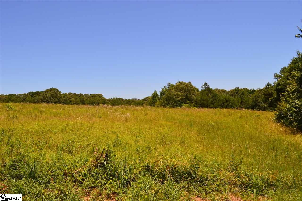 Property Photo:  1029 Terrapin Crossing Road  SC 29657 